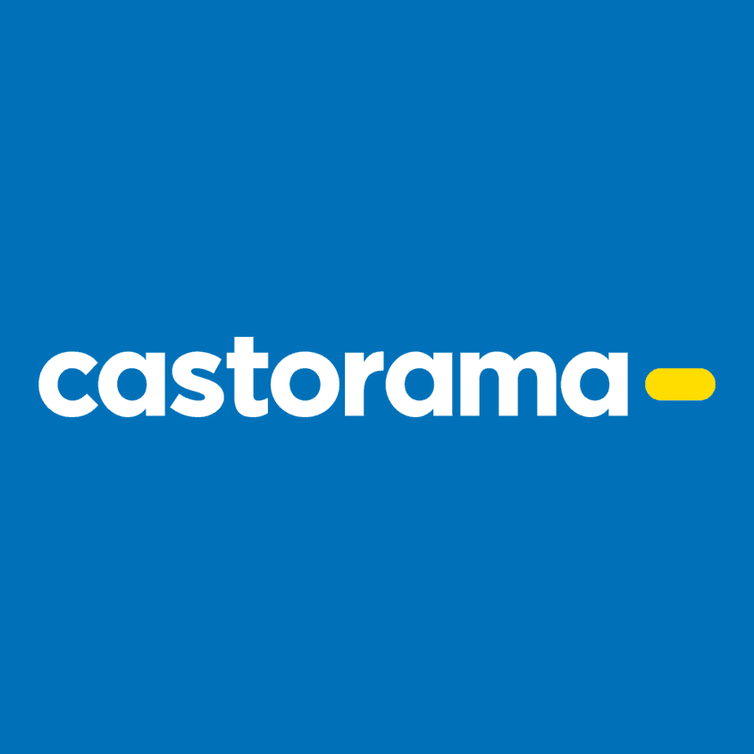 Boosting the Sales Performance of Retail Locations through e-Learning Pathways – Castorama
